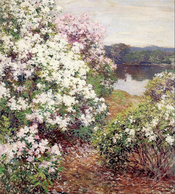 Unknown Artist Metcalf Mountain Laurel